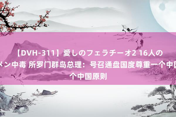 【DVH-311】愛しのフェラチーオ2 16人のザーメン中毒 所罗门群岛总理：号召通盘国度尊重一个中国原则