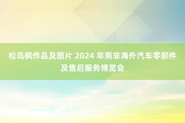松岛枫作品及图片 2024 年南非海外汽车零部件及售后服务博览会