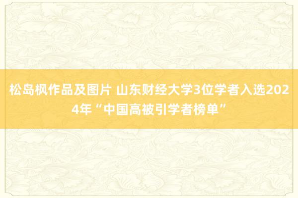 松岛枫作品及图片 山东财经大学3位学者入选2024年“中国高被引学者榜单”