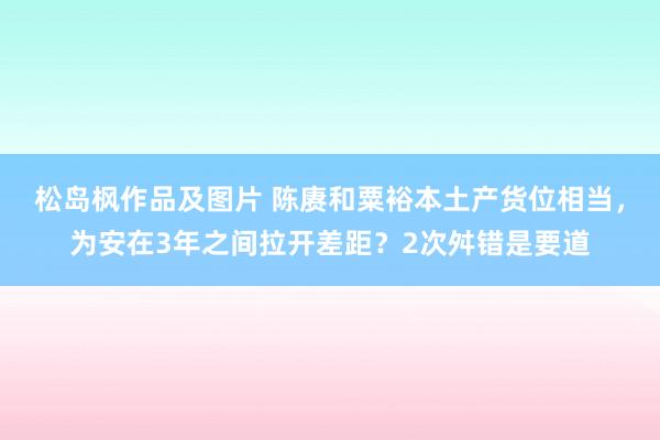 松岛枫作品及图片 陈赓和粟裕本土产货位相当，为安在3年之间拉开差距？2次舛错是要道