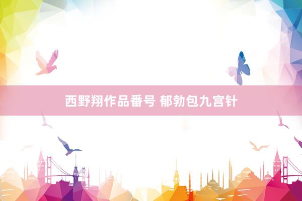 西野翔作品番号 郁勃包九宫针