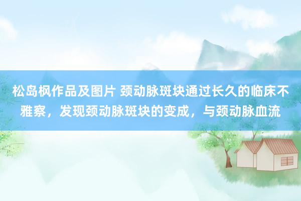 松岛枫作品及图片 颈动脉斑块通过长久的临床不雅察,发现颈动脉斑块的变成,与颈动脉血流