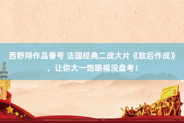 西野翔作品番号 法国经典二战大片《敌后作战》，让你大一饱眼福没盘考！