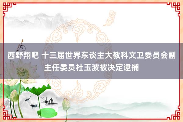 西野翔吧 十三届世界东谈主大教科文卫委员会副主任委员杜玉波被决定逮捕